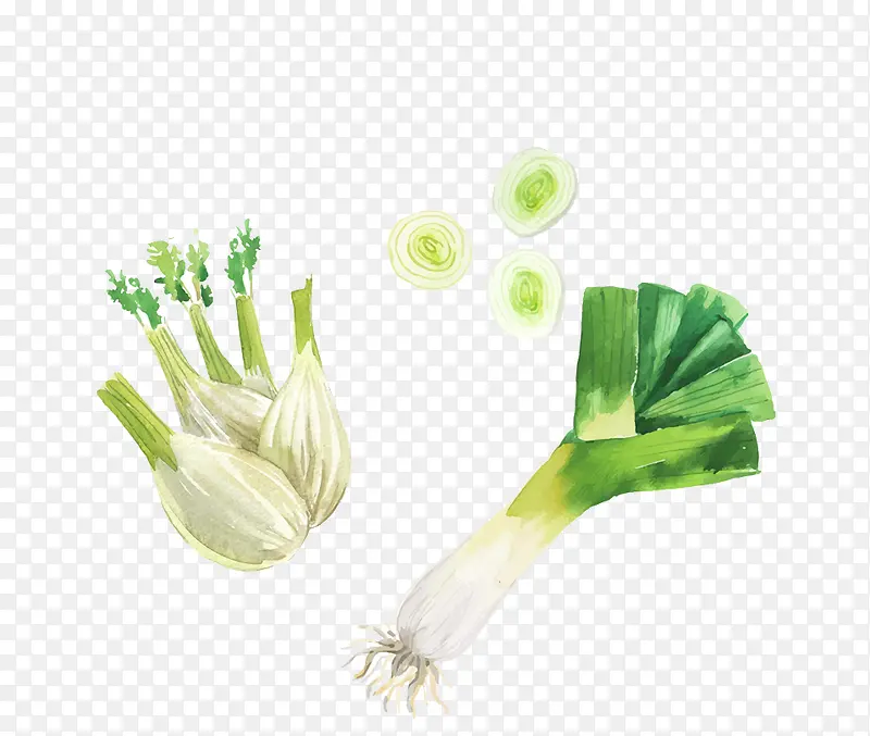 ��ɫ�߲�-������