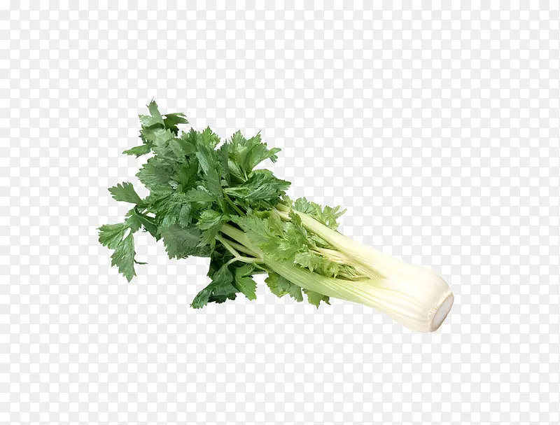 ���۲��߲�-������