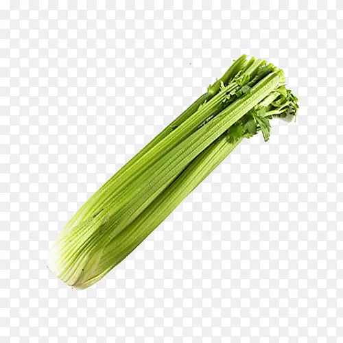 һ���۲�-������