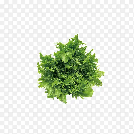 ���۲�ͼƬ�ز�-������