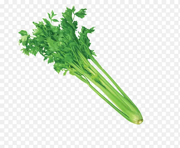 �����۲�-������