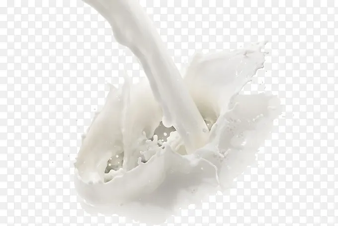 ţ�̹�����-������