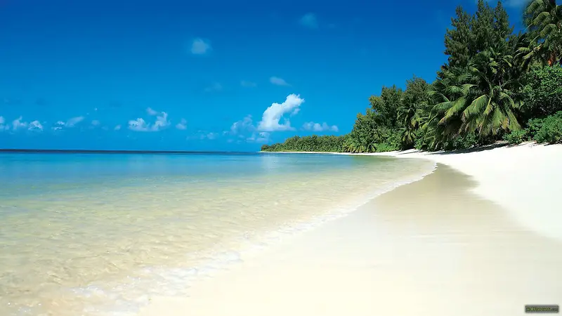 �����������ɳ̲-������