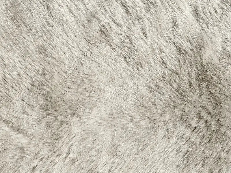 ��ɫƤë��������-������