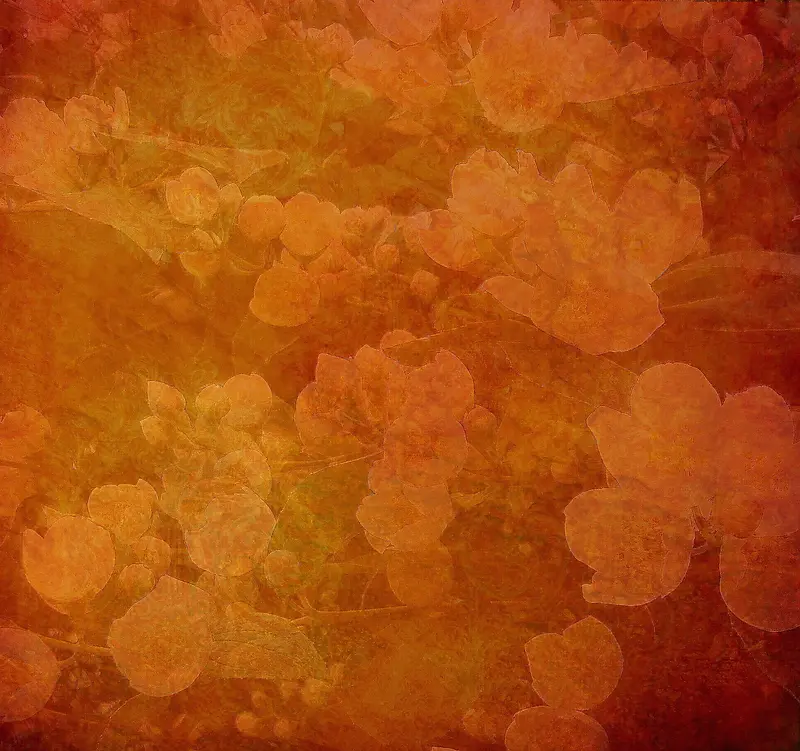 �ػ�ɫ���䱳��-������