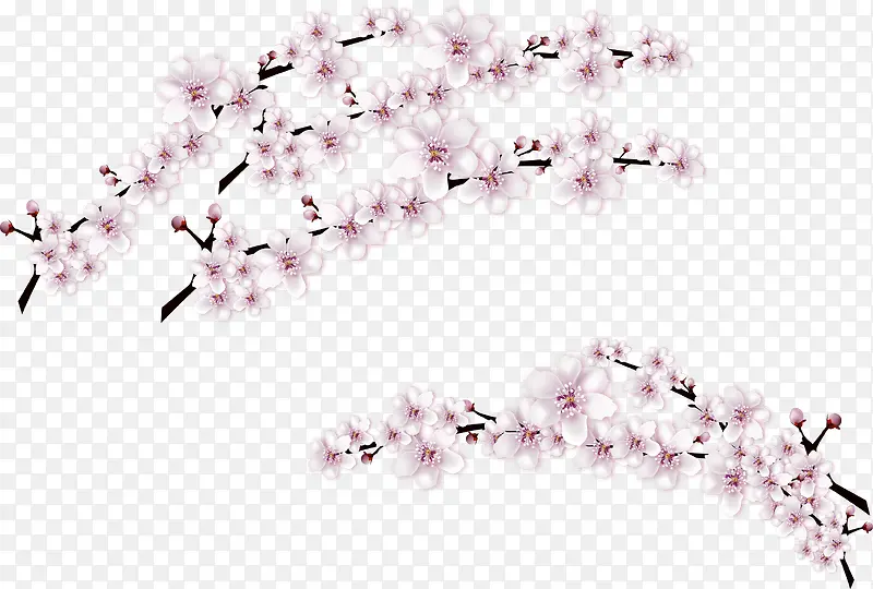 ʸ���ֻ��һ���֦-������