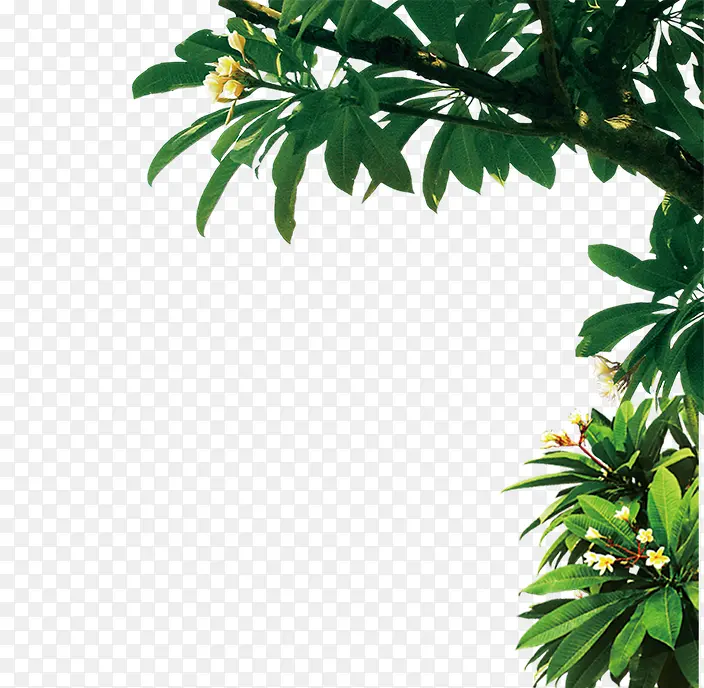 ïʢ��֦-������