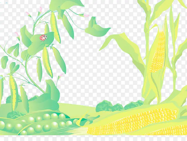 ��ɫʳ�ﱳ��-������