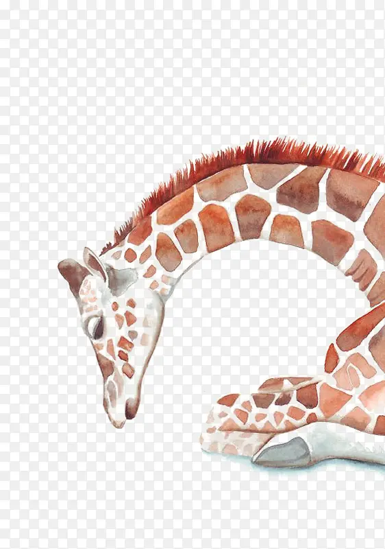 ˮ�ʳ���¹-������