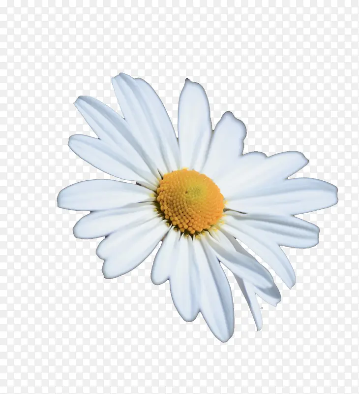 ��ɫ����-������