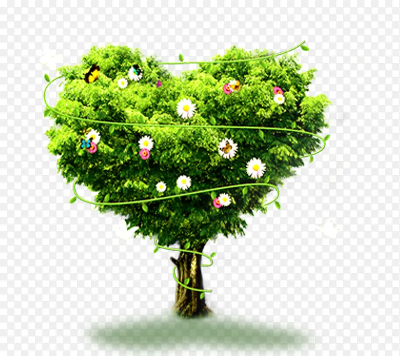 ��ɫ������-������