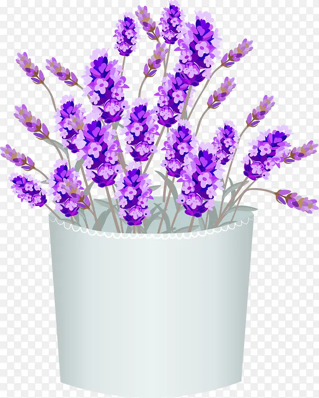 �������޹�²�-������