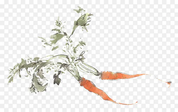 2�����ܲ�-������