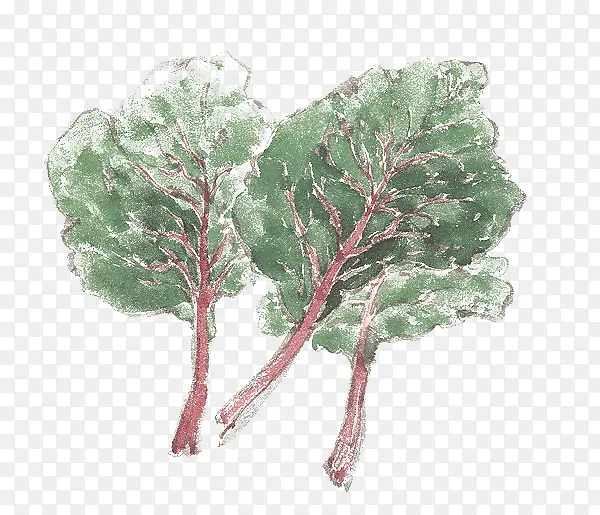 �ܲ���Ҷ-������