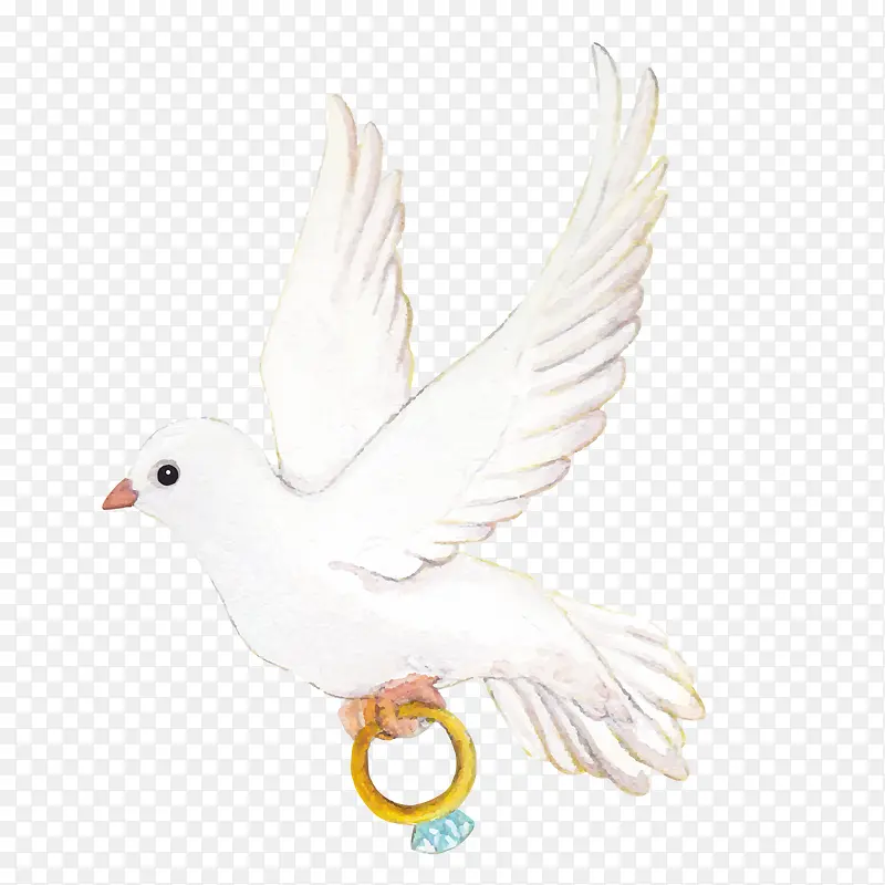 ʸ�����ĸ���-������