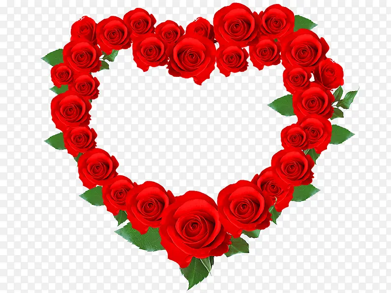 ����õ�廨��-������