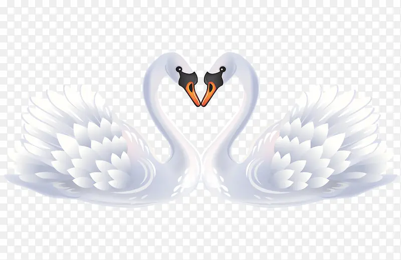 ��ɫ���-������