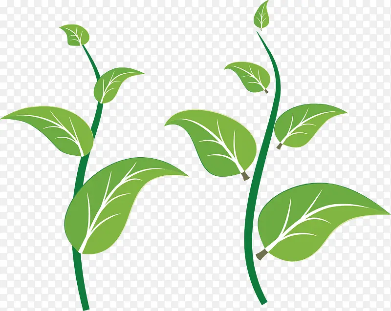 С������С�ݱ�ƽ��-������