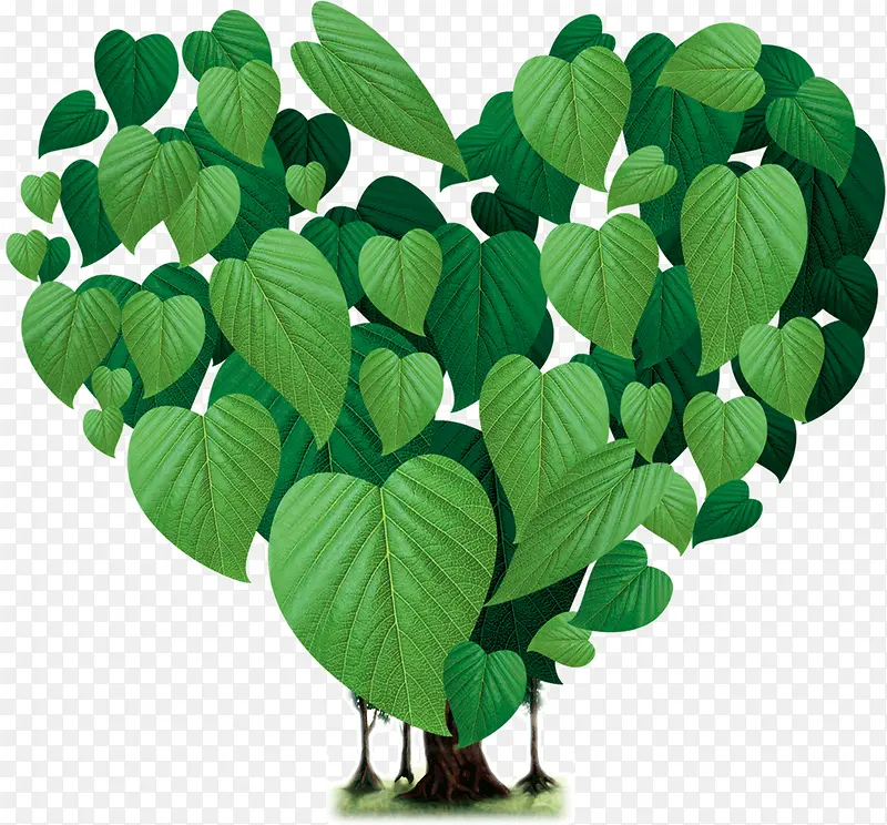 ��Ҷƴ�հ���-������