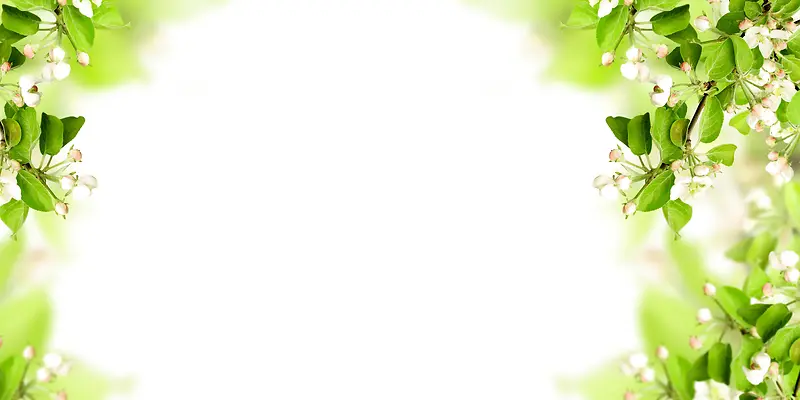 ��֦����ʵ��չ�屳������-������