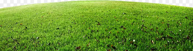 ������Ӱ�̻�ɫ��ƺ-������