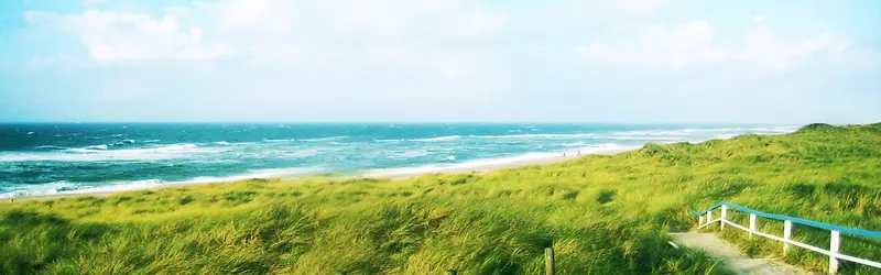 ��Լ��������������ɫ��������-������