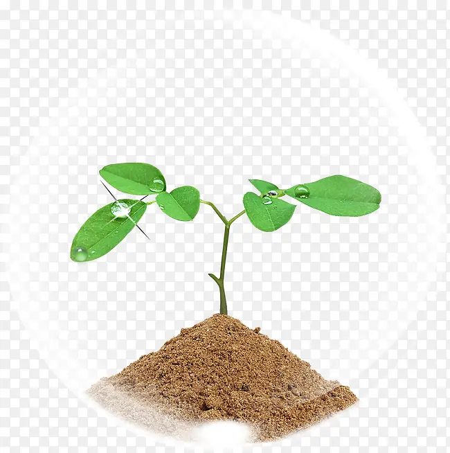 ���� С��-������