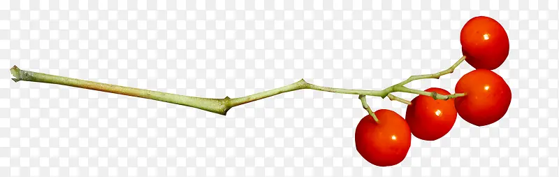 ��ɫС����-������