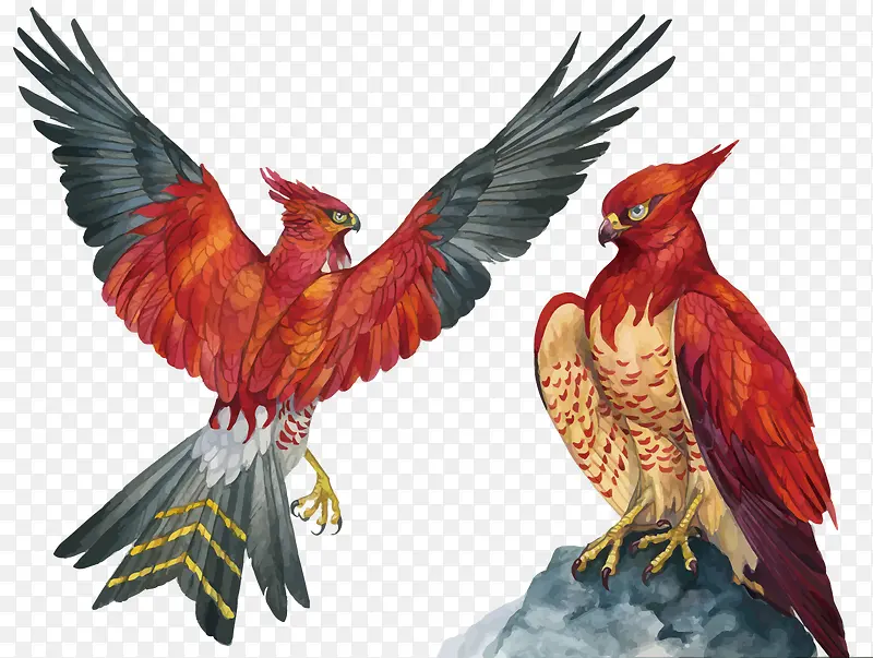 ʸ�����ӥ-������