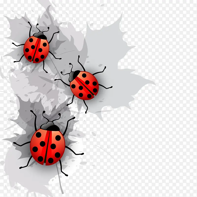 ʸ������ư��-������