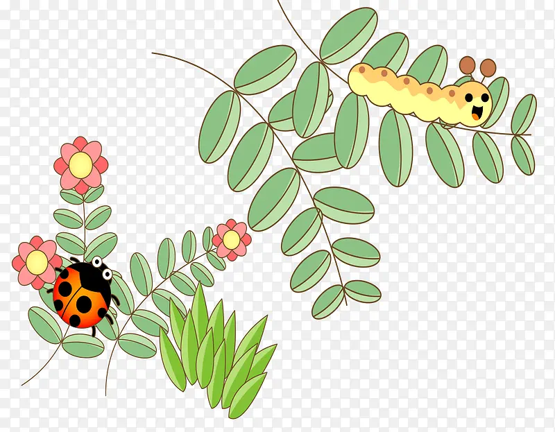 ��ͨ��Ҷ����-������