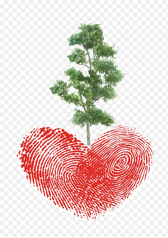 ���Ĺ�����-������