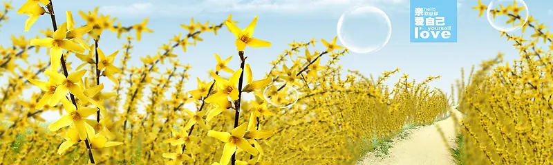 �＾���ⱳ��-������