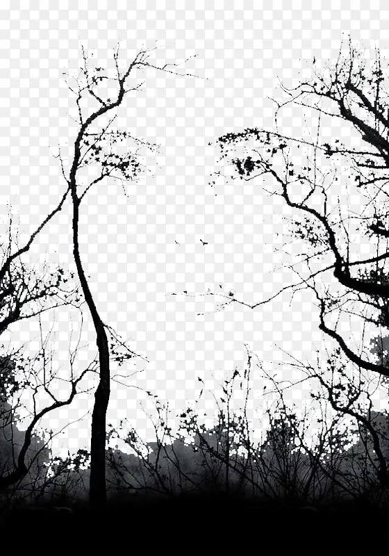 ������ѻ-������