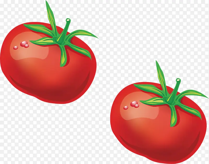 ���������ʳ������-������