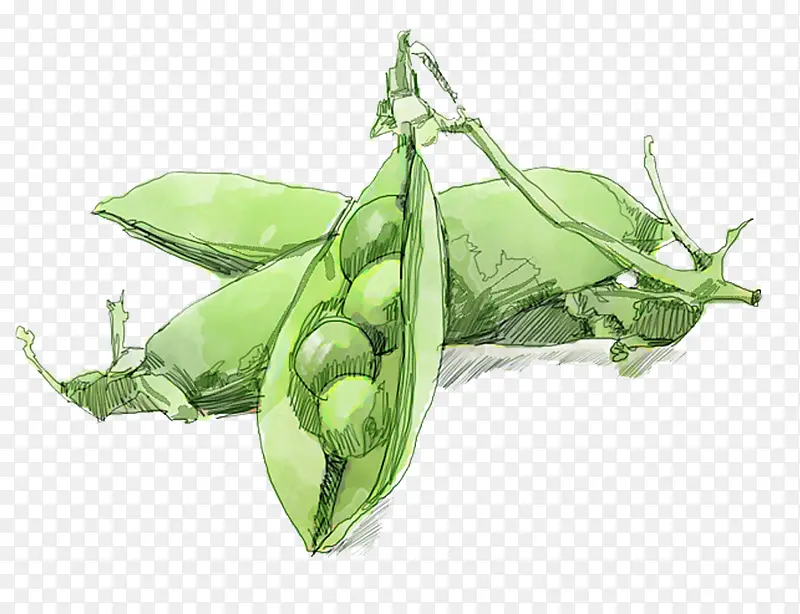 �ֻ��㶹-������