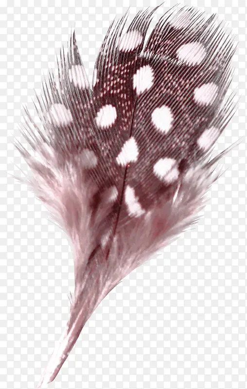 ��ȸβ��-������