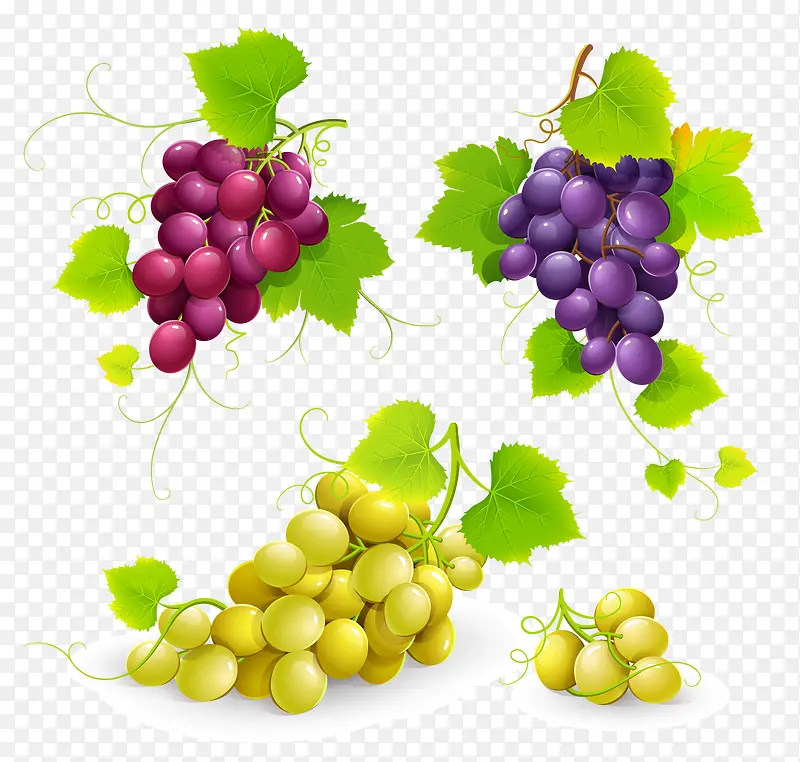 �����������-������