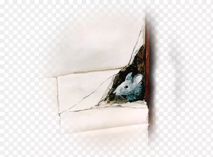 ������๳������ֻ�-������