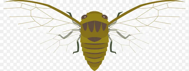 ��ȫ����ʸ����ͨ��-������