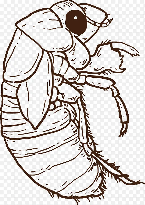 ���۾�ʸ����ͨ�����-������