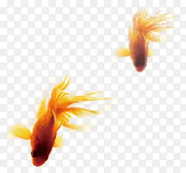 ������Ӱ���ɫ����-������