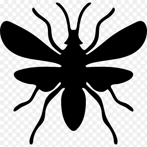 ����ͼ��-������