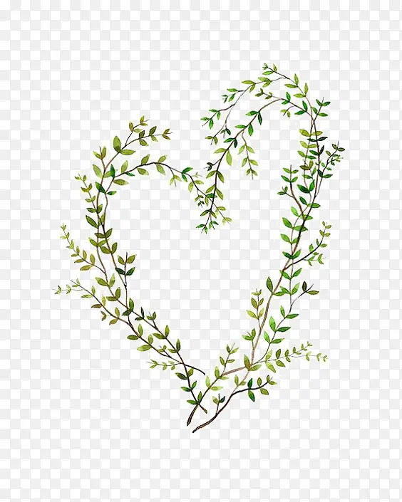 ��ɫҶƬ-������