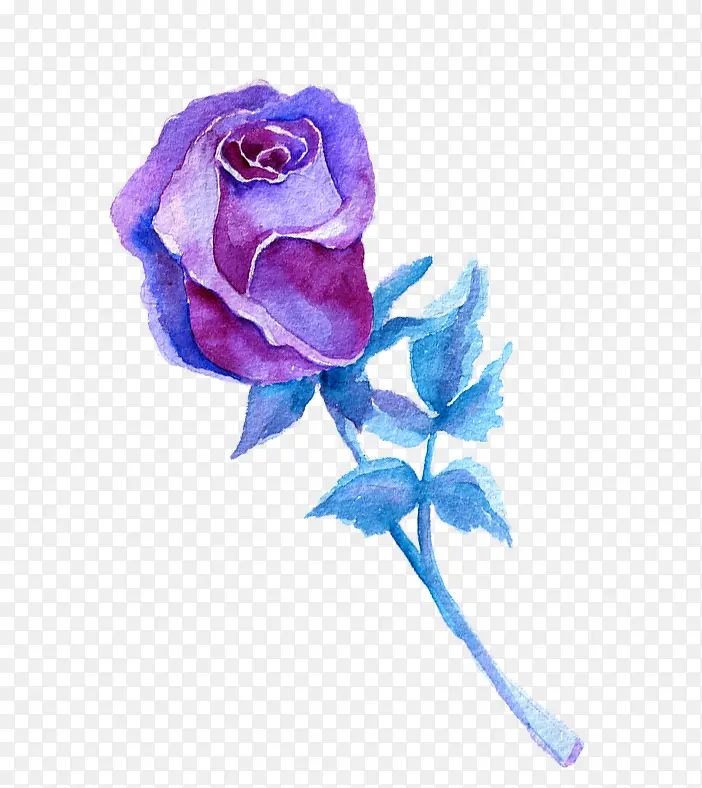 ��ɫˮ�ʻ���-������