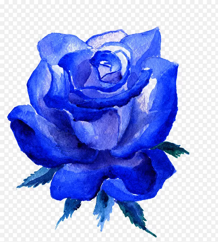 ��ɫˮ��õ�廨��-������