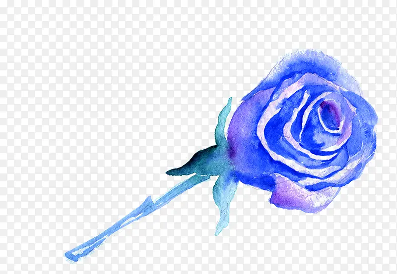 ��ɫˮ��õ�廨��-������