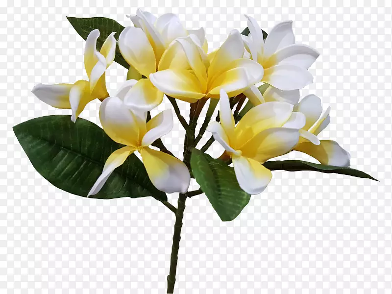 �л�-������