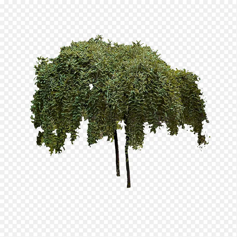 ����ǰ����-������