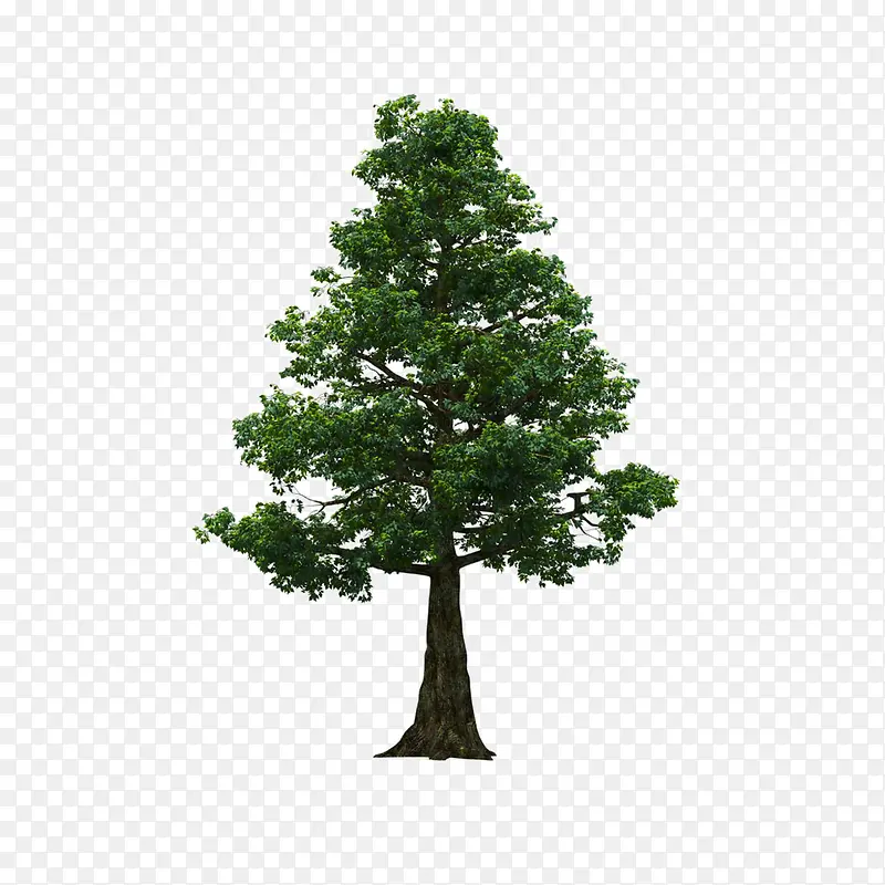 ����ǰ����-������